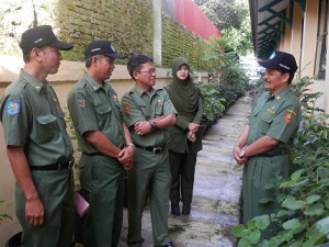 Kepala BPLHD meninjau lokasi Kebun Tanaman Obat Keluarga (TOGA)